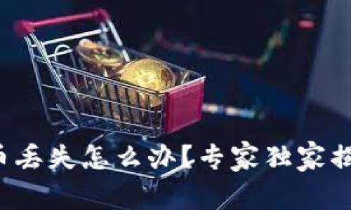 TP钱包质押币丢失怎么办？专家独家揭秘解决秘诀！