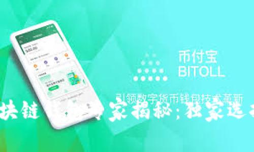 2023年主流区块链钱包专家揭秘：独家选择与秘诀大公开