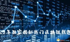 专家推荐：2023年独家揭秘