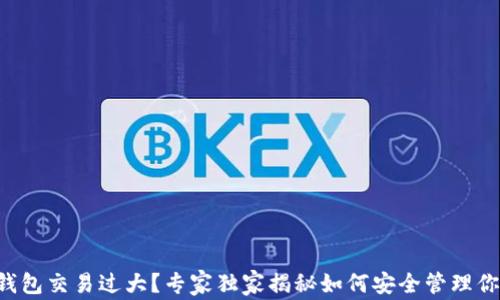
区块链钱包交易过大？专家独家揭秘如何安全管理你的资产！