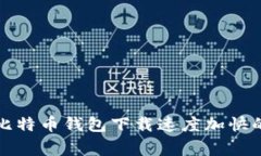 专家分享：比特币钱包下