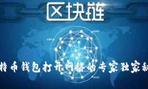 比特币钱包打开网络的专家独家秘诀