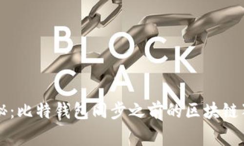 专家揭秘：比特钱包同步之前的区块链独家秘诀