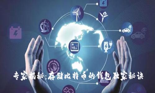 专家揭秘：存储比特币的钱包独家秘诀