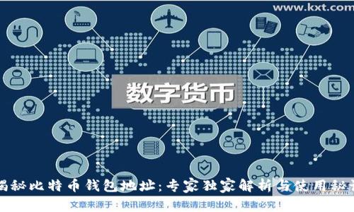 揭秘比特币钱包地址：专家独家解析与使用秘诀