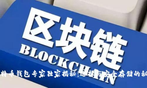 比特币钱包专家独家揭秘：选择与安全存储的秘诀
