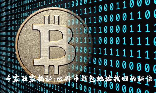 专家独家揭秘：比特币钱包地址找回的秘诀