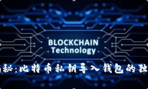 专家揭秘：比特币私钥导入钱包的独家秘诀