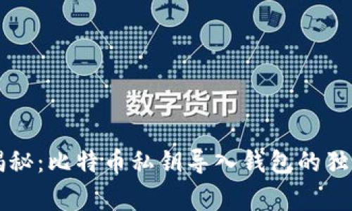 专家揭秘：比特币私钥导入钱包的独家秘诀