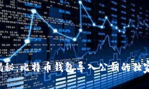 专家揭秘：比特币钱包导入公钥的独家秘诀！