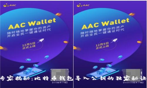 专家揭秘：比特币钱包导入公钥的独家秘诀！
