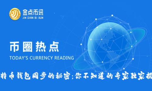 比特币钱包同步的秘密：你不知道的专家独家揭秘