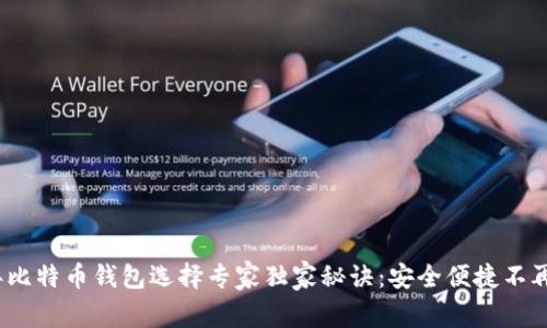 2023年比特币钱包选择专家独家秘诀：安全便捷不再是问题