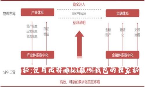 专家揭秘：使用比特币QT核心钱包的独家秘诀