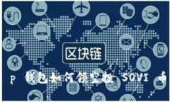 专家揭秘：t p 钱包如何领