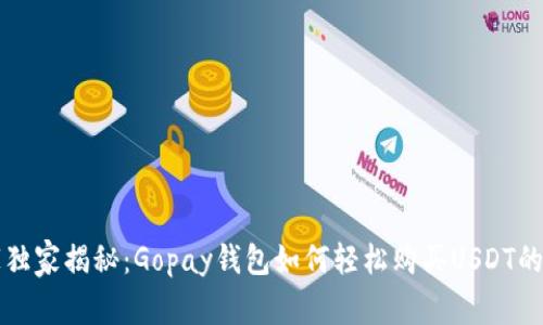 专家独家揭秘：Gopay钱包如何轻松购买USDT的秘诀