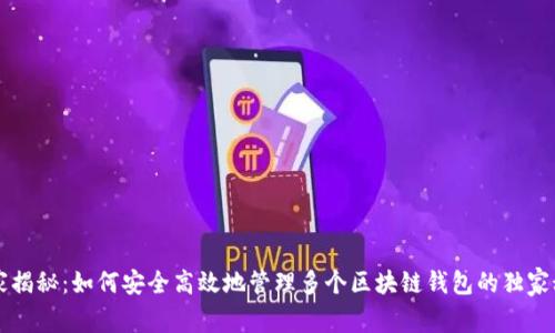 专家揭秘：如何安全高效地管理多个区块链钱包的独家秘诀