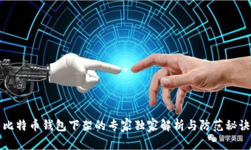 比特币钱包下架的专家独家解析与防范秘诀