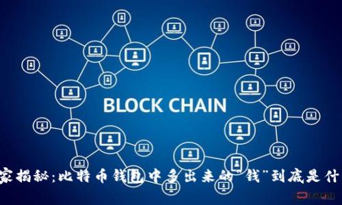 专家揭秘：比特币钱包中多出来的“钱”到底是什么？