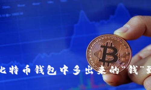 专家揭秘：比特币钱包中多出来的“钱”到底是什么？
