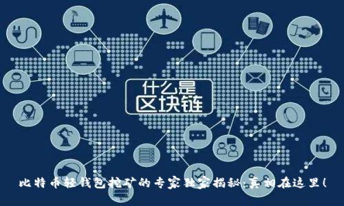 比特币轻钱包挖矿的专家独家揭秘：真相在这里！