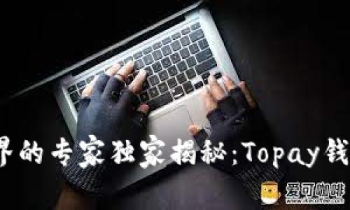 畅玩虚拟币世界的专家独家揭秘：Topay钱包app下载秘诀