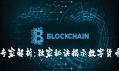 比特币钱包变迁的专家解