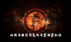 比特币提引钱包的专家独