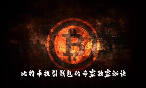 比特币提引钱包的专家独家秘诀