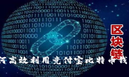 专家揭秘：如何高效利用竞付宝比特币钱包的独家秘诀