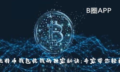 揭秘比特币钱包收钱的独家秘诀：专家带你轻松理解