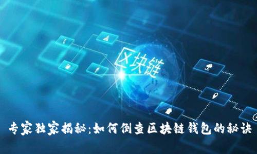 专家独家揭秘：如何倒查区块链钱包的秘诀