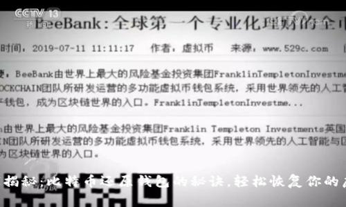 专家独家揭秘：比特币还原钱包的秘诀，轻松恢复你的虚拟资产！
