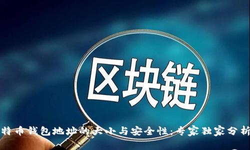 揭秘比特币钱包地址的大小与安全性：专家独家分析与秘诀
