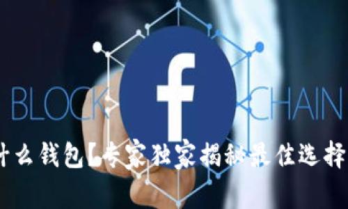 USDT使用什么钱包？专家独家揭秘最佳选择与实用秘诀