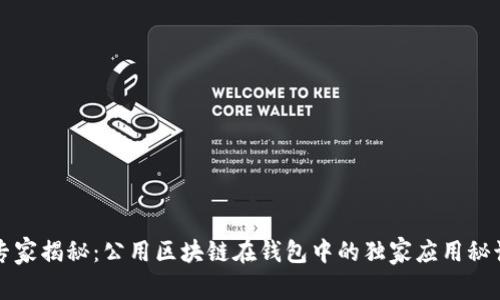 专家揭秘：公用区块链在钱包中的独家应用秘诀