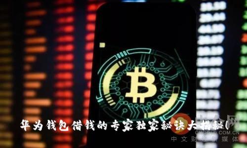华为钱包借钱的专家独家秘诀大揭秘！