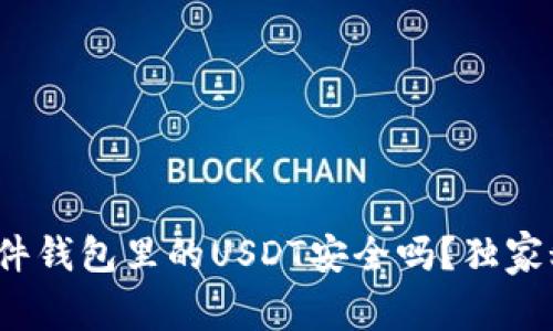 专家解密：硬件钱包里的USDT安全吗？独家秘诀防止被盗