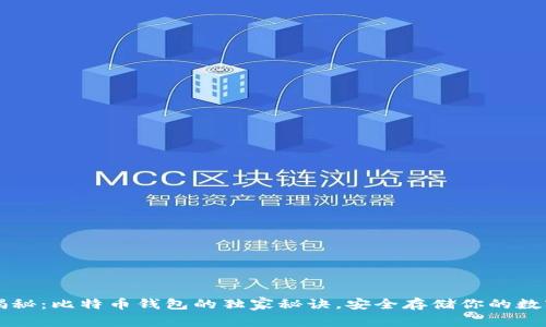 专家揭秘：比特币钱包的独家秘诀，安全存储你的数字资产