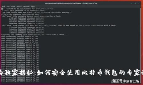 华为独家揭秘：如何安全使用比特币钱包的专家秘诀