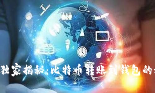 专家独家揭秘：比特币转账到钱包的秘诀！