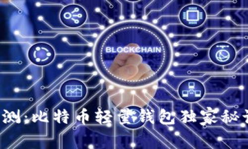 2023年专家评测：比特币轻量钱包独家秘诀，哪款最好用？