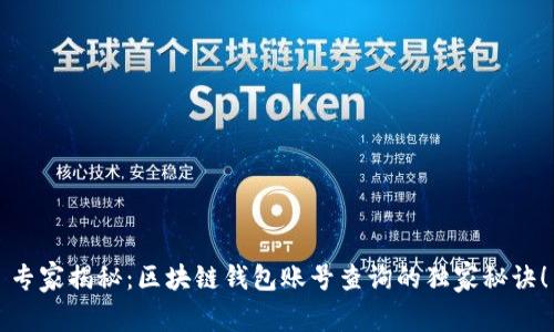 专家揭秘：区块链钱包账号查询的独家秘诀！