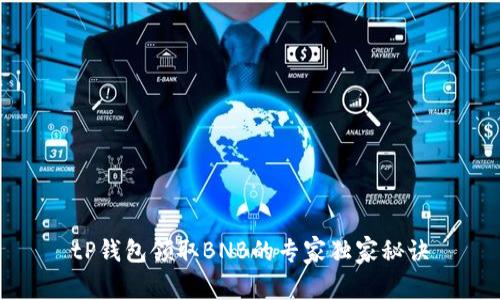 tP钱包领取BNB的专家独家秘诀