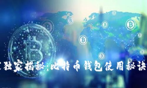 专家独家揭秘：比特币钱包使用秘诀详解