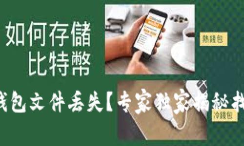 比特币钱包文件丢失？专家独家揭秘找回秘诀！