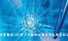 专家解析：iOS用户必备的