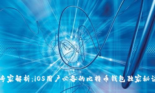 专家解析：iOS用户必备的比特币钱包独家秘诀