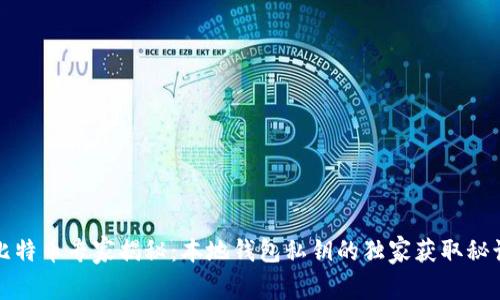 比特币专家揭秘：本地钱包私钥的独家获取秘诀