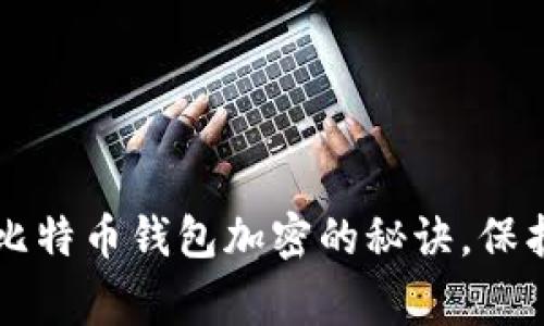 专家独家揭秘比特币钱包加密的秘诀，保护你的数字资产